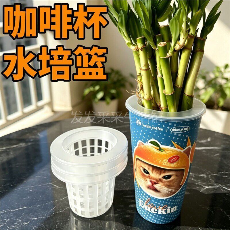适用瑞幸咖啡杯杯子改造水培定植篮荔枝枇杷牛油果种子固定支架