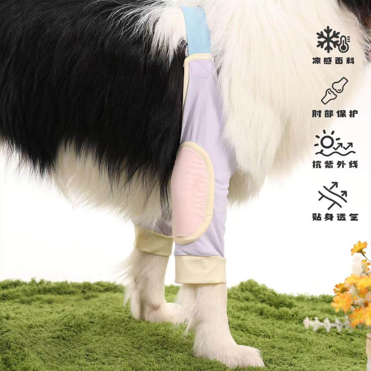 宠物狗狗专用护肘衣金毛边牧中大型犬防舔防磨前腿关节保护套护膝