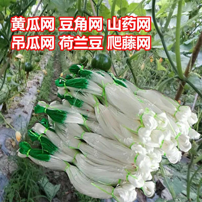 植物爬藤网爬藤架山网吊瓜黄瓜网豆角网攀爬支架种植网厂家