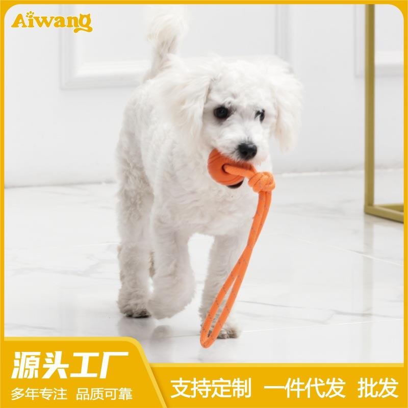 狗狗玩具球弹力球耐咬磨牙实心球大中小型犬解闷tpr球宠物训练