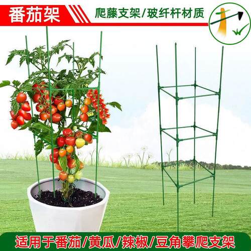 西红柿番茄架子阳台种植豆角黄瓜爬藤支架支撑杆月季攀爬植物固定