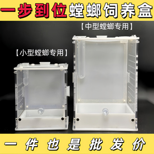 螳螂饲养盒一步到位昆虫饲养盒鸣虫亚克力饲养盒缸