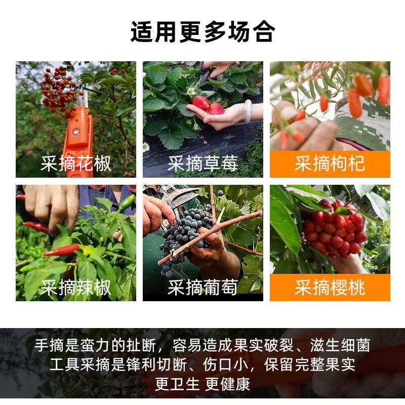 热销摘花椒神器手握多功能专用剪刀葡萄草莓枸杞芸豆荔枝龙眼采摘