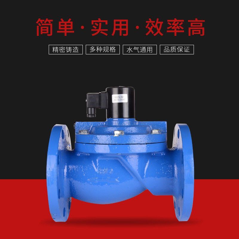 热销铸铁DF 法兰电磁阀开关阀水阀先导式膜片式DN50 65 80 100 4