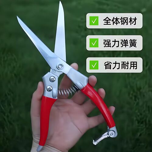 热销园艺火龙果剪子专用花枝摘果疏果采摘采果稀果葡萄枸杞剪刀修