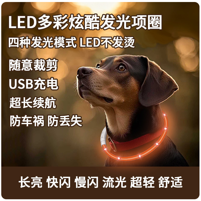 遛狗夜光夜行灯狗狗发光项圈夜间大小型犬防走失带灯充电宠物脖圈