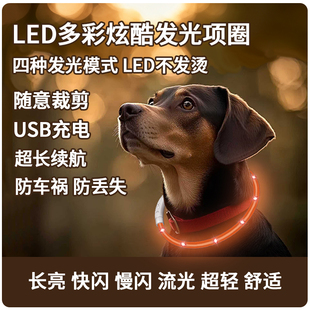 遛狗夜光夜行灯狗狗发光项圈夜间大小型犬防走失带灯充电宠物脖圈