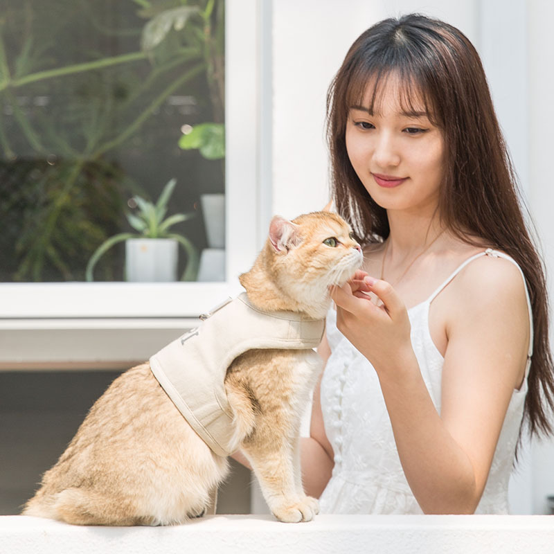 猫咪牵引绳防挣脱外出专用溜猫神器小奶猫遛猫衣服背心式栓猫绳子