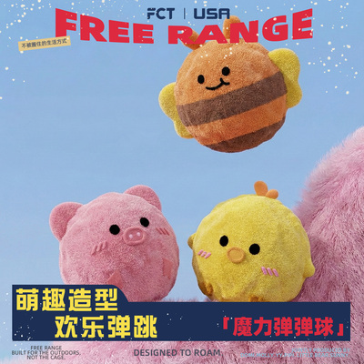 FCT美国品牌卡通发声玩具球
