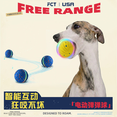 咬不坏的电动弹弹球！