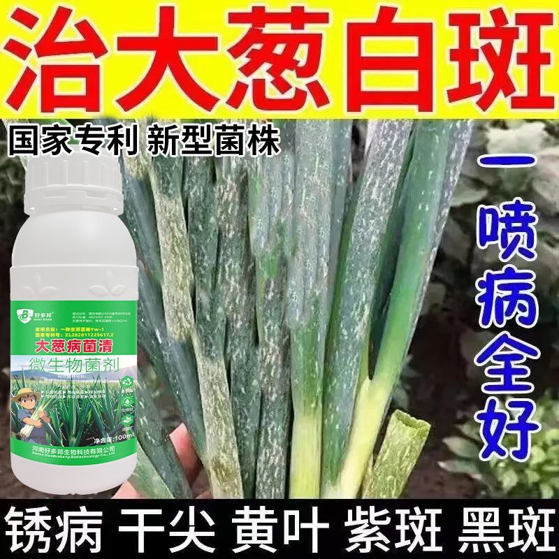 大葱白斑病杀菌剂病菌清