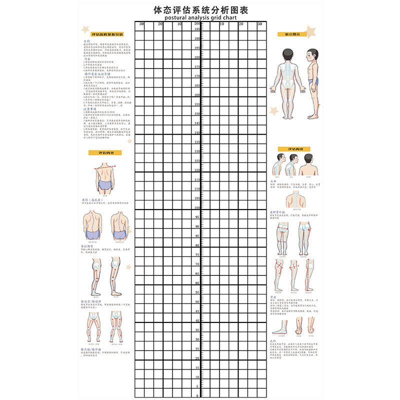 脊椎骨体态评估表瑜伽健身私教身体姿势体位不正体测网格墙背景图