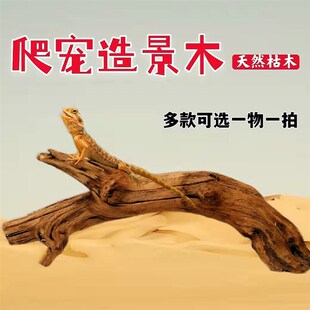 天然爬宠造景木头桩子摆件蝎子鬃狮捷角守宫晒台攀爬鱼缸沉木躲避