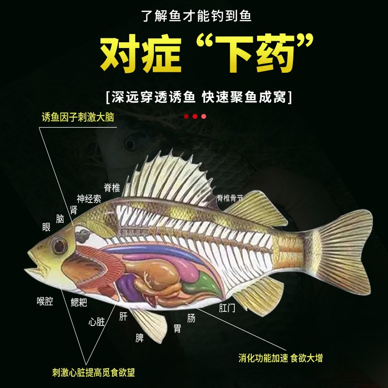 千里香小药钓鱼诱鱼剂大全麝香酒野钓鲤鱼鲫鱼黑坑专用开口剂饵料