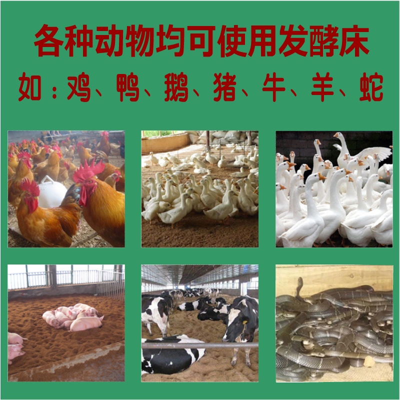 发酵床干撒em微生物菌种养鸡鸭猪牛羊宠物制作垫料分解粪便发酵剂