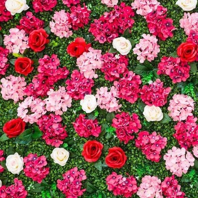 Woody ornamental plants indoor court more than limbing ros