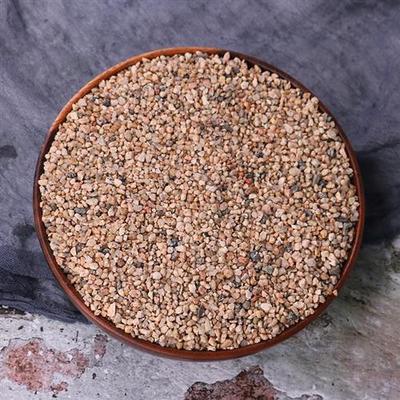 萌萌肉铺面粗河沙粗沙黄沙细沙土鱼缸沙植物颗粒铺面石粗砂配土沙