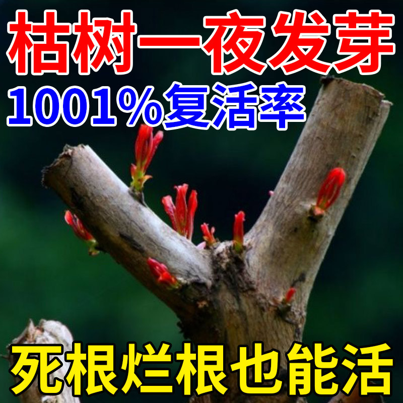 大树成活营养液死树复活生根液果树小苗活枯树烂根烂苗根腐专用液