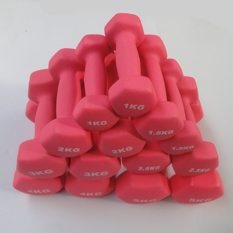 a pair of dumbbell weights Men women Dumbbells fitness 5kg