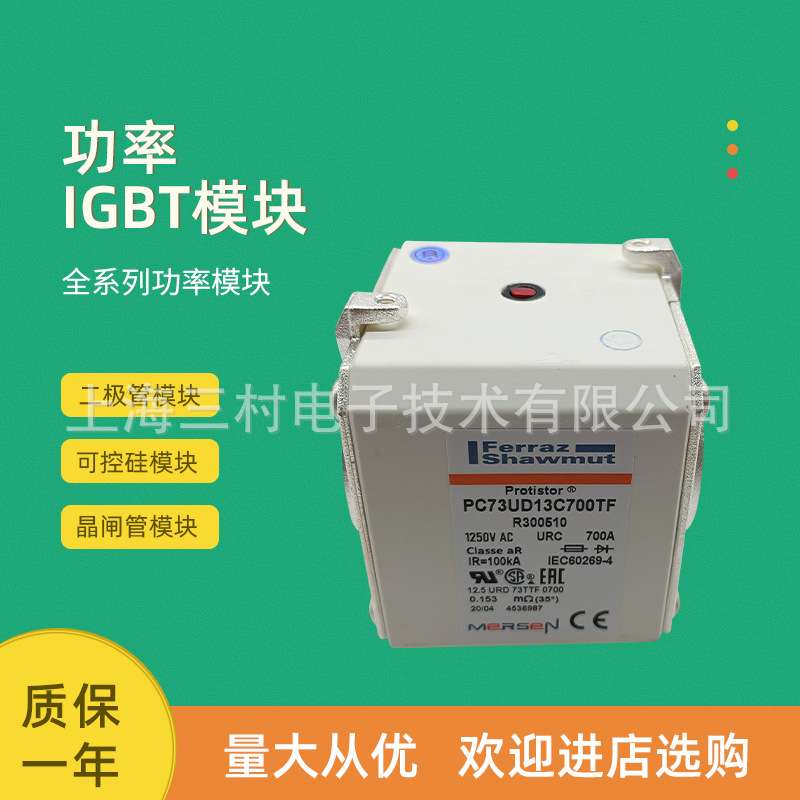 全新熔断器保险丝DN00GB69V40D1LS330250 DN00GB69V50D1L T330251