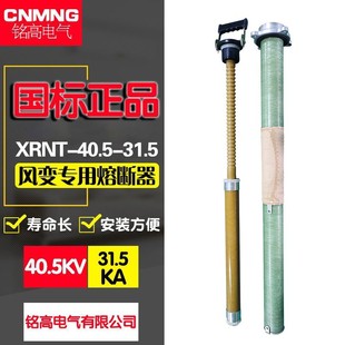 光伏全范围保护 40.5KV风变专用高压熔断器 31.5KA STR20 XRNT3A