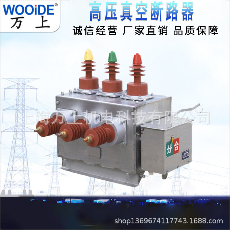 ZW10-12/T630-20户外高压真空断路器10千伏真空断路器保护变压
