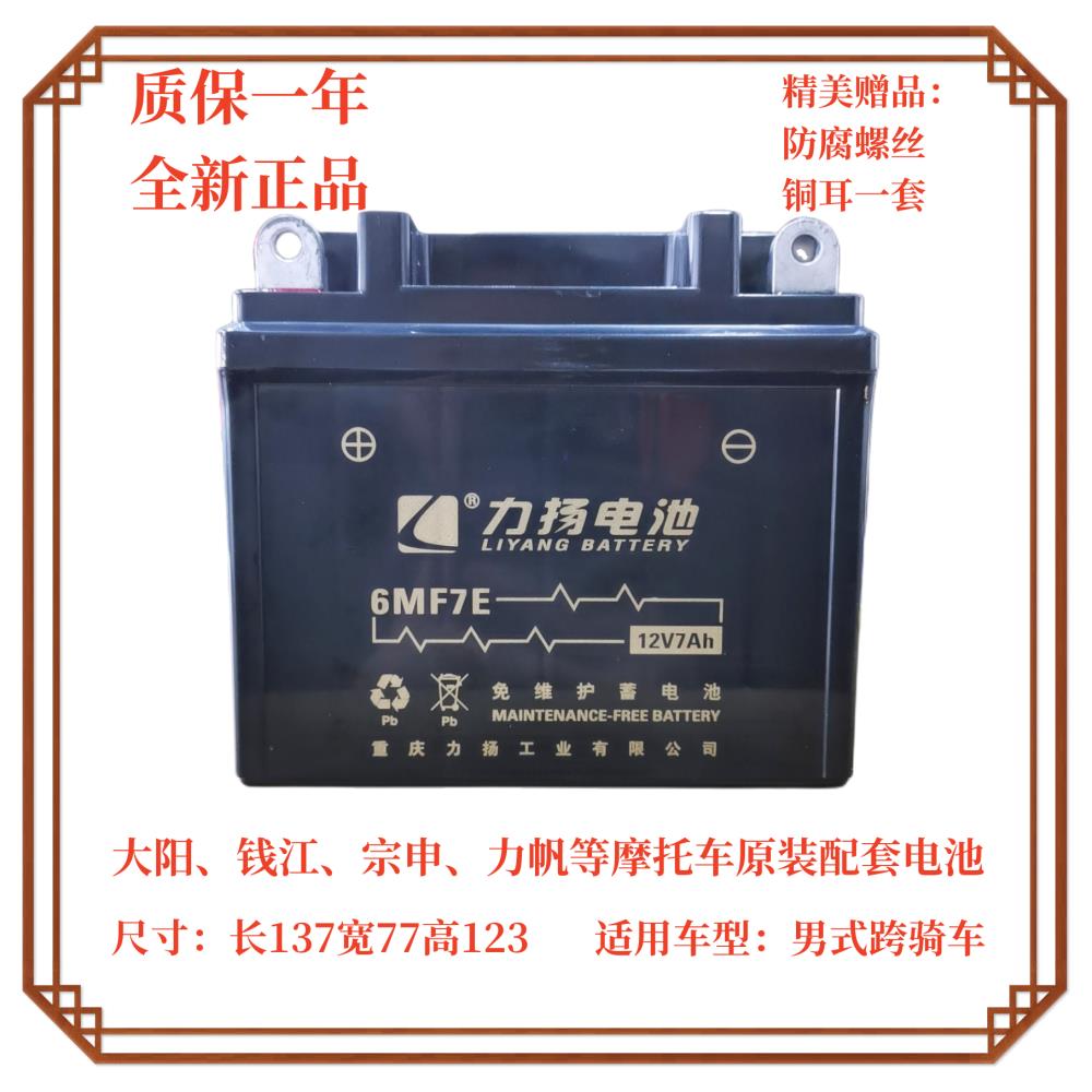 摩托车电池电喷原厂配套男式125跨骑车力扬6MF7E免维护干电瓶