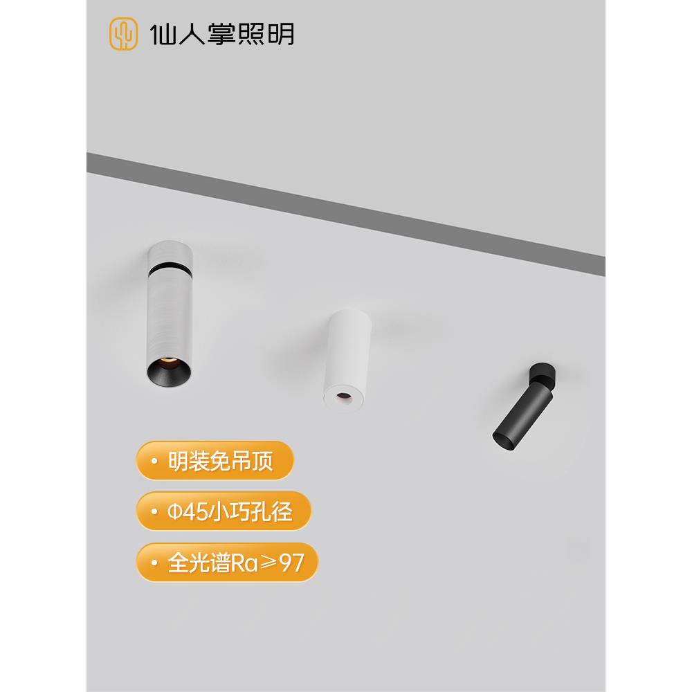仙人掌照明45mm可调角明装led迷你射灯免吊顶防眩吸顶极简客厅