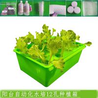 無(wú)土栽培設(shè)備家庭蔬菜陽(yáng)臺(tái)種菜箱水培種菜水耕設(shè)備種菜神器種植箱