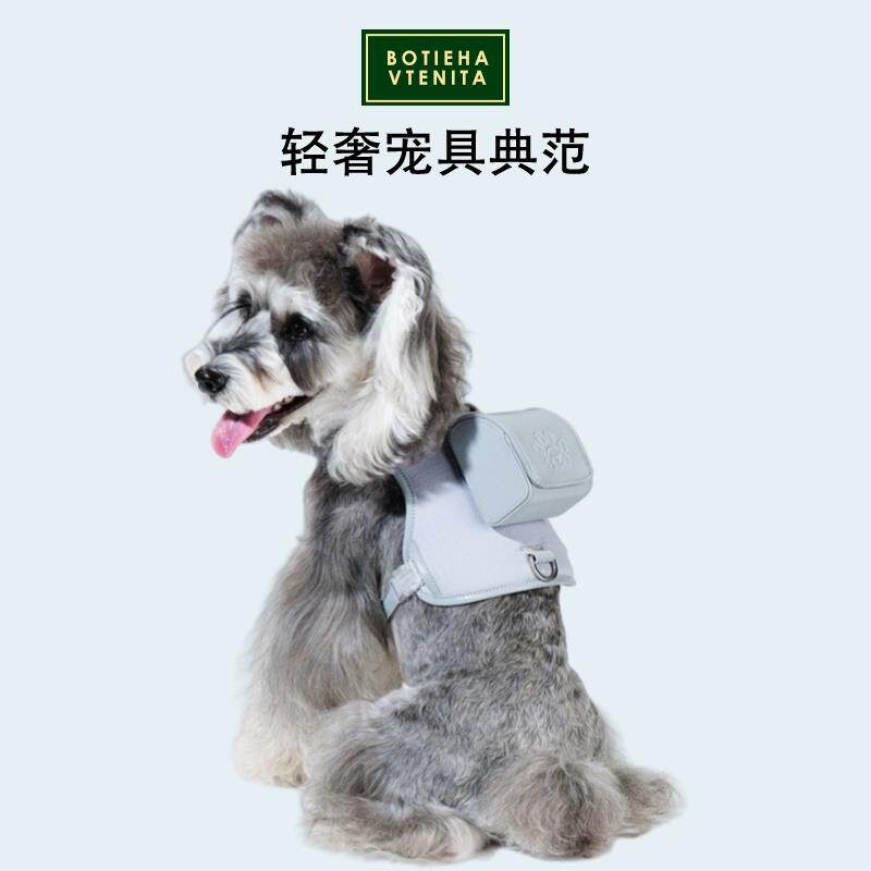 BOTANSA VRETHA&BV狗狗猫咪背心式胸背带遛狗牵引绳小型犬可调节