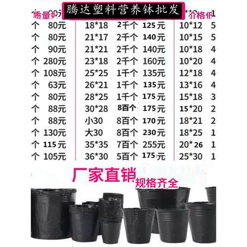 营养杯育苗杯营养碗育苗盆塑料加厚一次性农业营养袋育苗袋花盆大