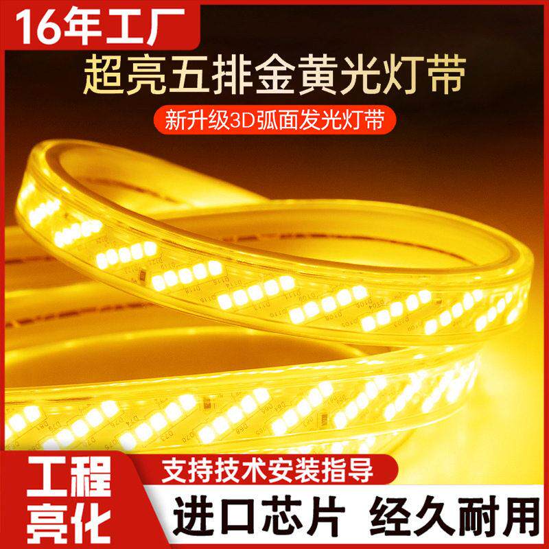 220V特亮强光led灯带户外防水320珠五排工程亮化外墙亮化氛围灯条