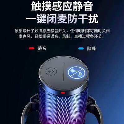 maono闪克DM20游戏麦克风主播电竞电脑台式电容闪客直播录音话筒