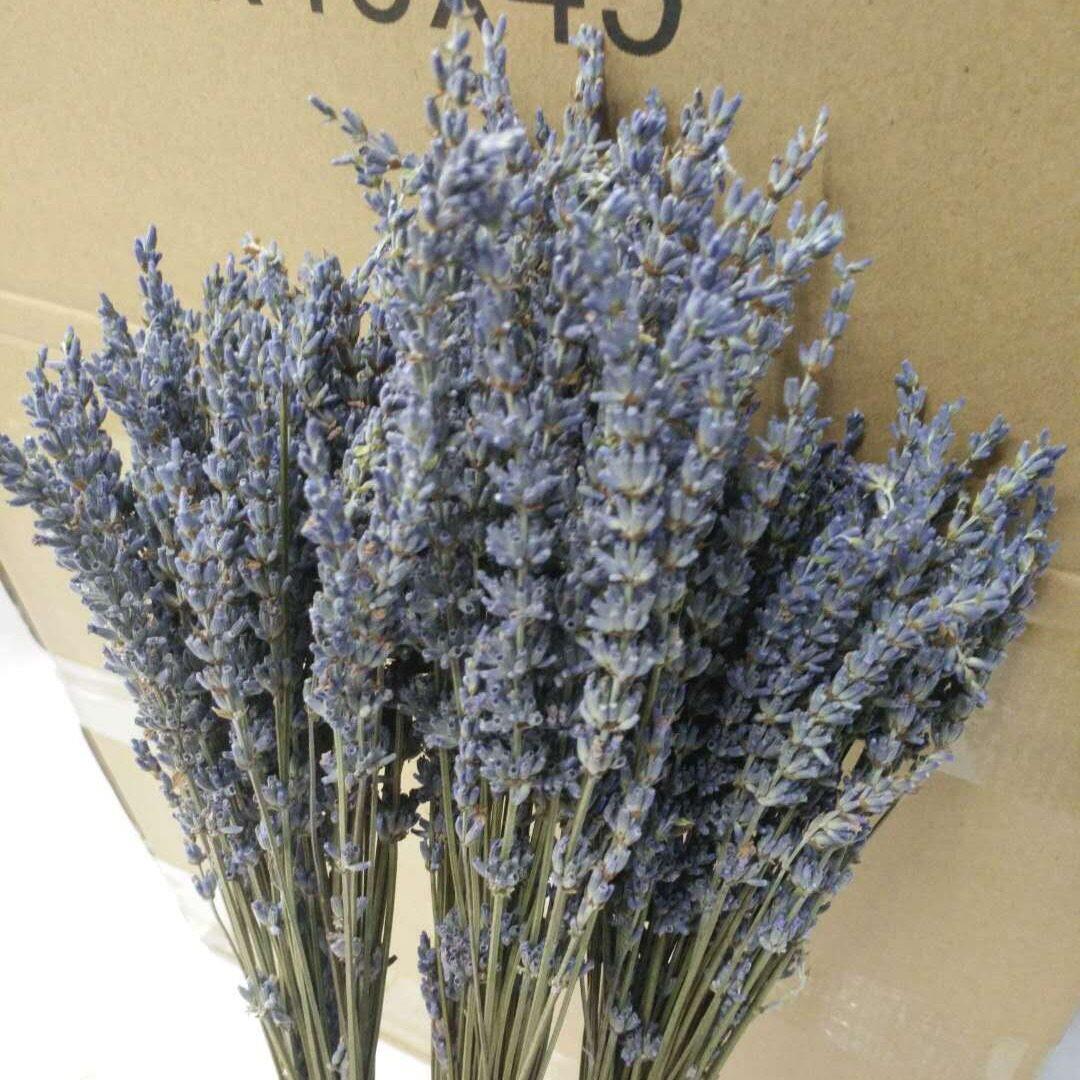 【薰衣草干花】  风干真花  香料 花束 香薰厂家