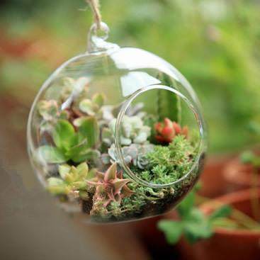 厂家悬挂玻璃花瓶 多肉植物吊瓶 微景观生态瓶 婚庆装饰用品