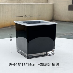 正方形黑色玻璃花瓶水培绿萝白掌红掌绿植客厅餐桌面软装酒吧摆件