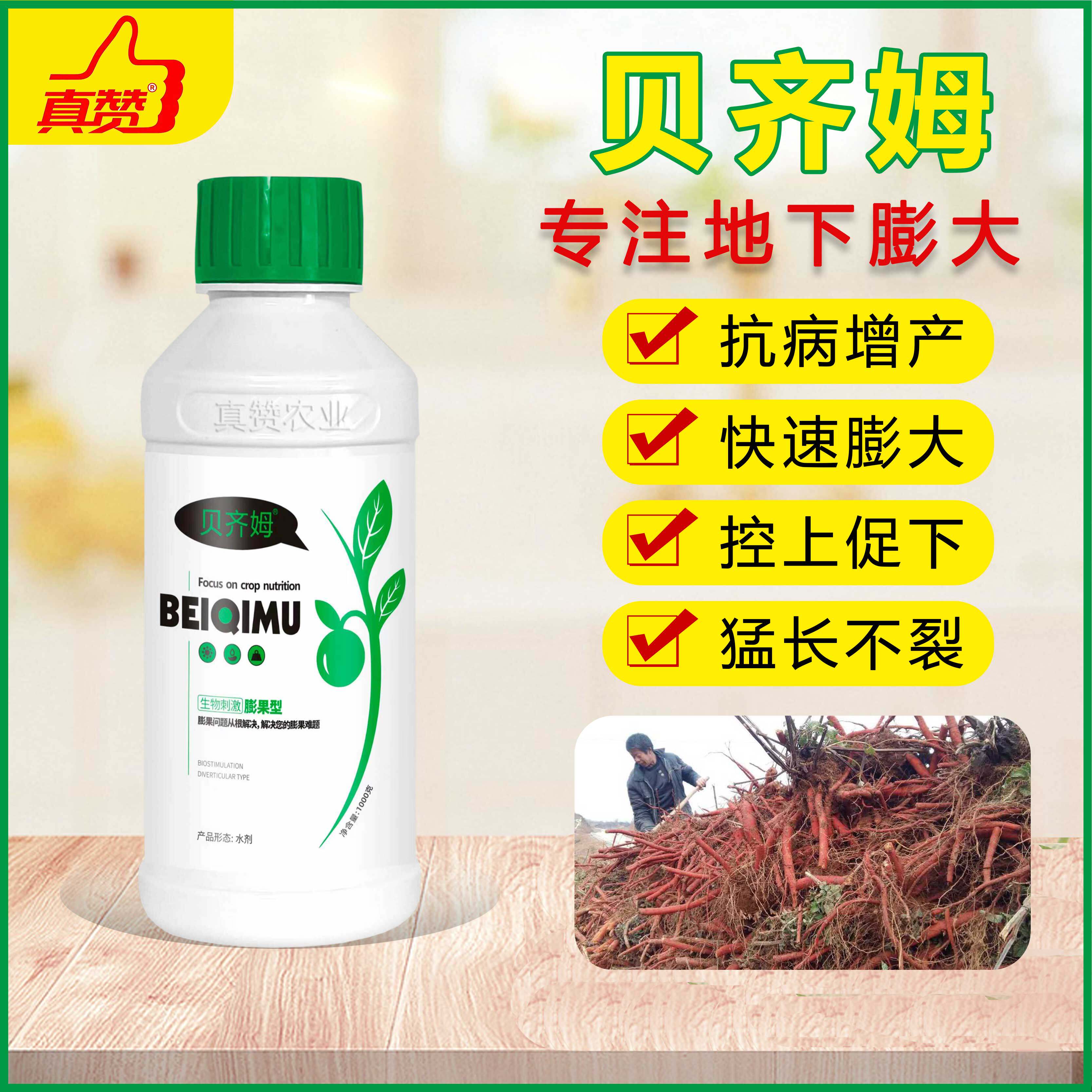 真赞贝齐姆生物膨果有效根茎通用型地下膨大增产专注块茎作物生长