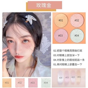 Four Color Eye Fashionable Makeup Beautiful Shadow And