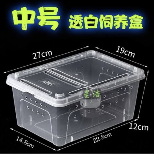 守宫套装豹纹守宫新手套装肥尾守宫饲养套装 豹纹守宫饲养套装