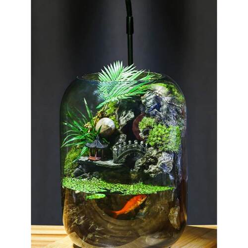 【时来运转】流水款养鱼缸苔藓微景观生态瓶真植物成品室内送礼