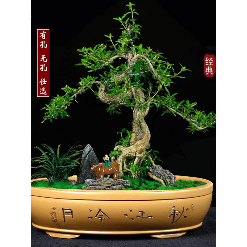 宜兴简约紫砂浅盆无孔水盘假山吸水石盆景盆特大号陶瓷老桩有孔盆