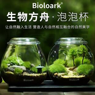Bioloark生物方舟泡泡杯生态瓶绿植苔藓瓶微景观桌面景观摆件玻璃