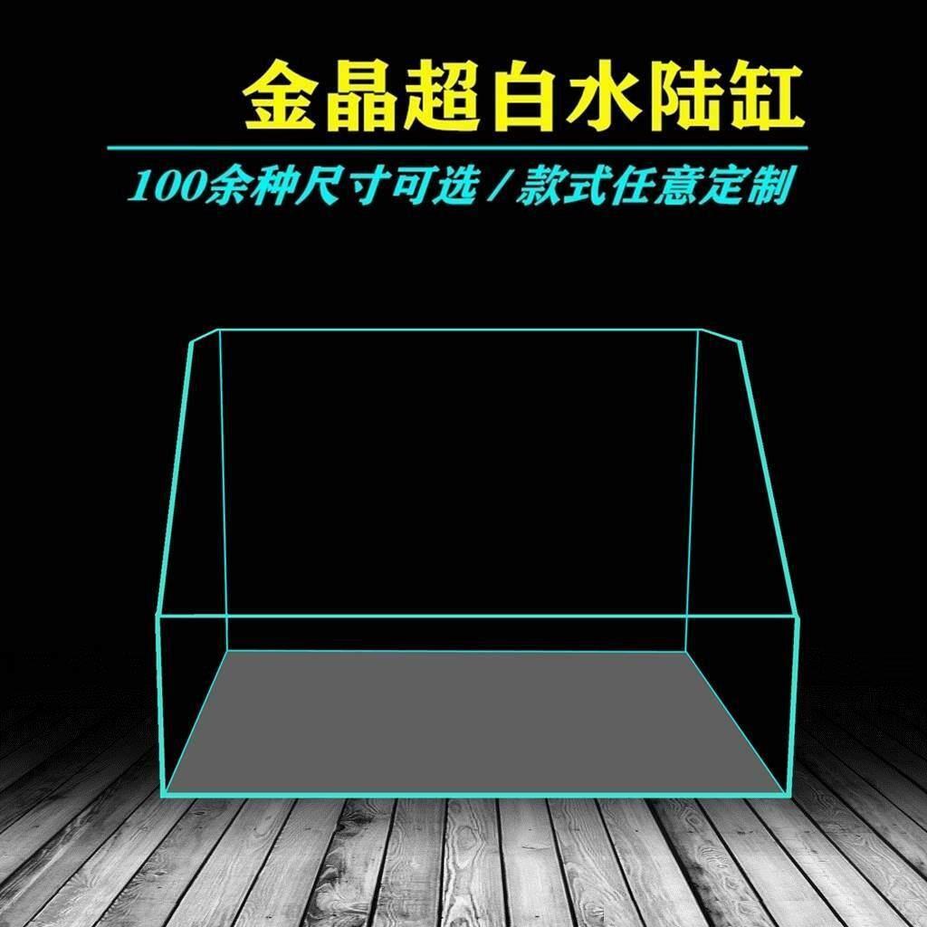 水陆两栖鱼缸超白缸植物造景缸微景观斜口金晶玻璃两栖生态缸雨林