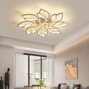客厅吸顶灯北欧网红创意花瓣家用大厅灯现代轻奢水晶卧室led灯具