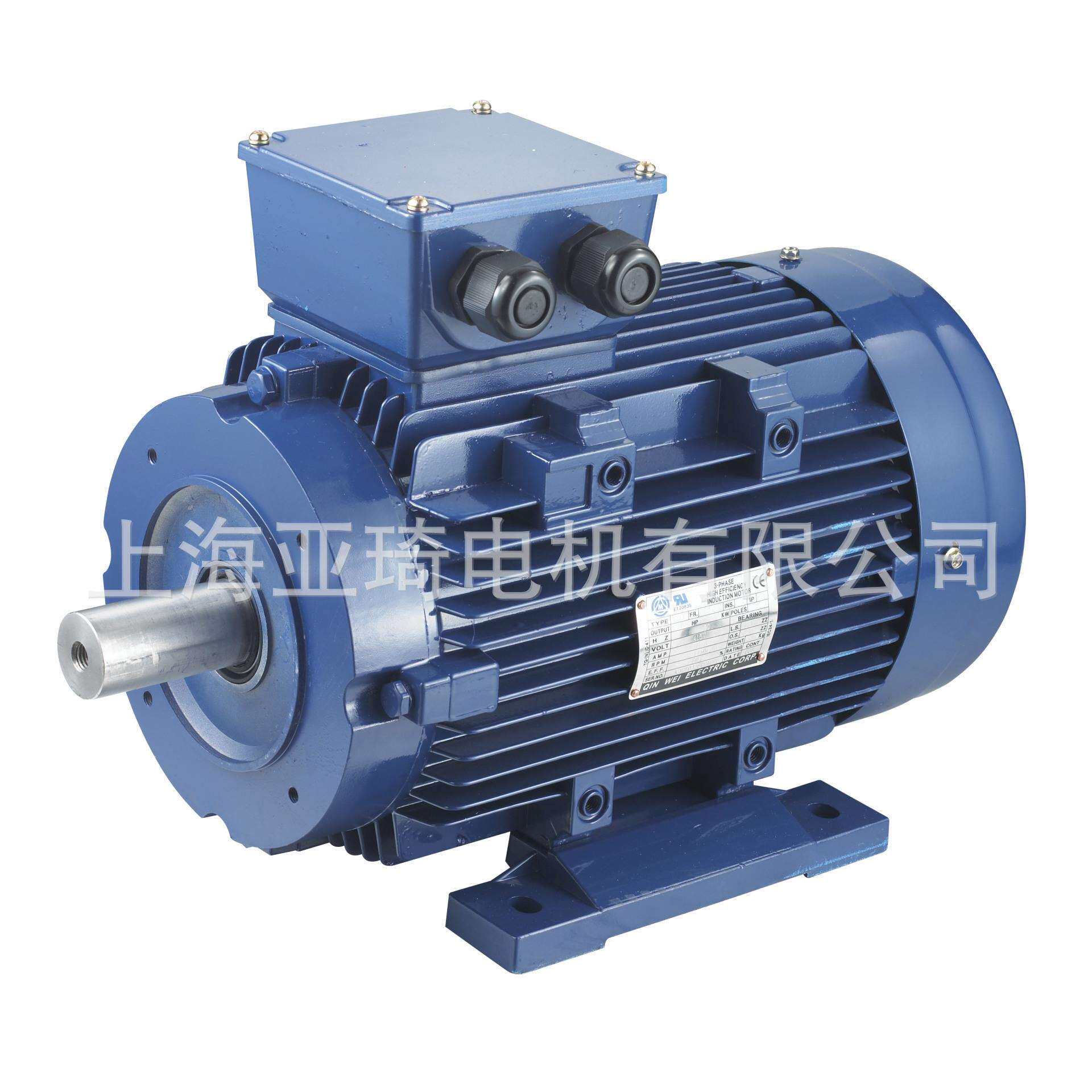 3-PHASE INDUCTION MOTOR 三相异步铝壳电动机 微型电动机