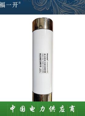 50x195 XRNP1高压熔断器保险熔管PT电压流互感器XRNT 6.3A 10安16