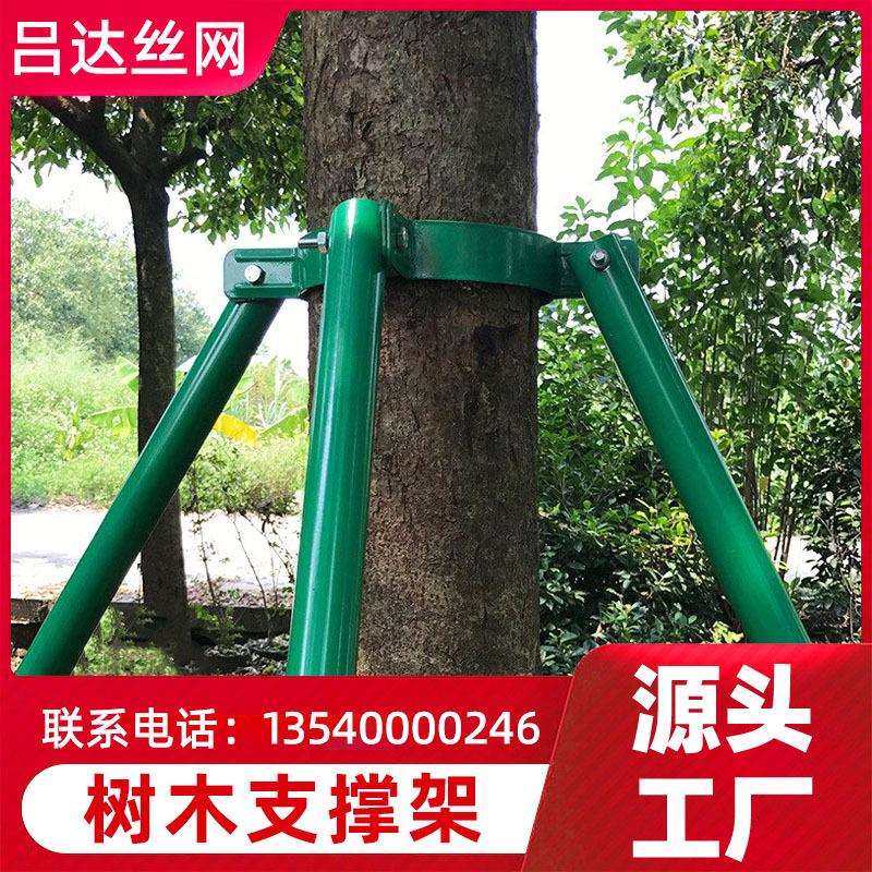 树木支撑杆护林防倒固定器厂家绿色镀锌园林绿化钢管苗木支撑架