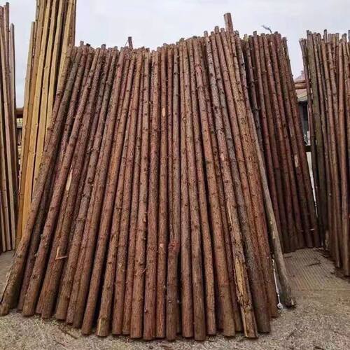 杉木桩户外河道工程原木