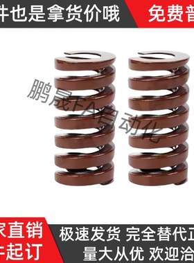 YSWB-D22-L20 L25 L30 L35 L40 L45 L50 L55 L60 L65 L70矩形弹簧