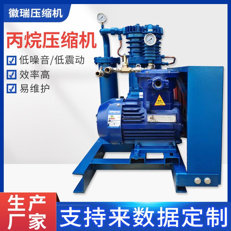 ZW0.2-16-24皮连丙烷压缩机活塞压缩机低噪音地震动厂家